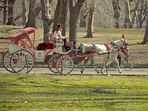 central park nyc tour central_park