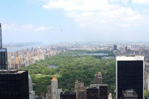Central Park 5